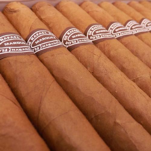 Rafael Gonzalez Panetelas Extra Cigar - Box of 25
